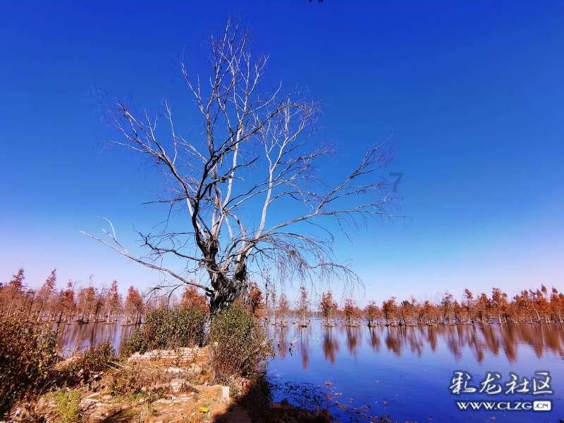俄罗斯被禁止参加东京奥运会，是因为俄罗斯运动员做了什么？游戏画面