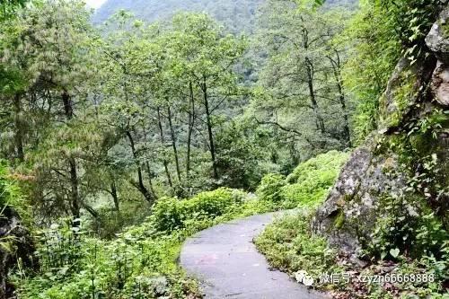 王毅将同沙利文在泰国举行新一轮会晤，外交部介绍会晤细节