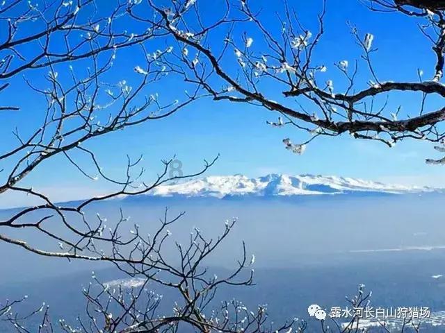 迷路的老奶奶