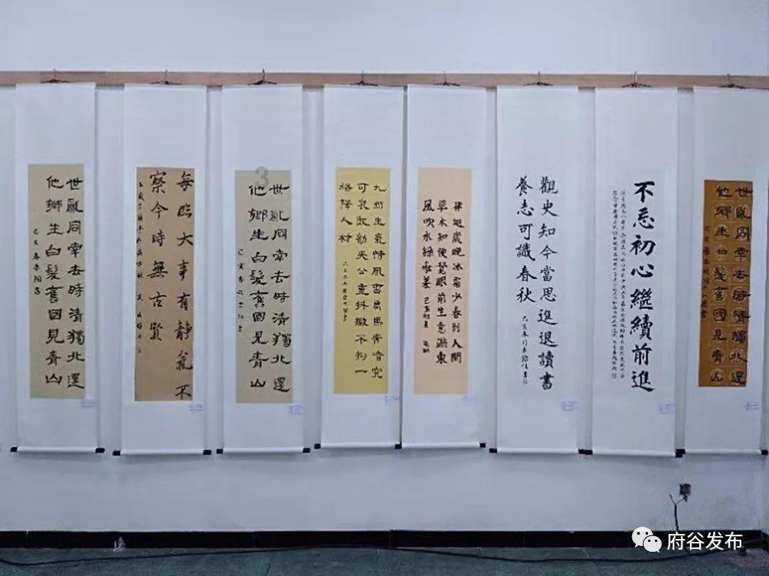 小猪仔要回家