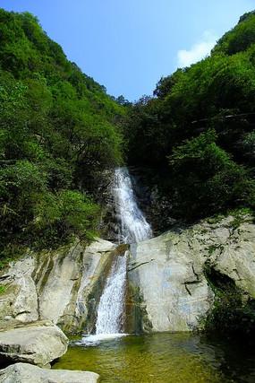 冬季时节栽茶忙