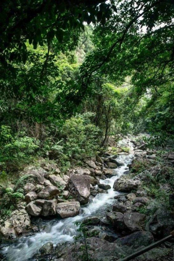 加央行连续四次维持利率不变 但降息之路已逐渐明晰