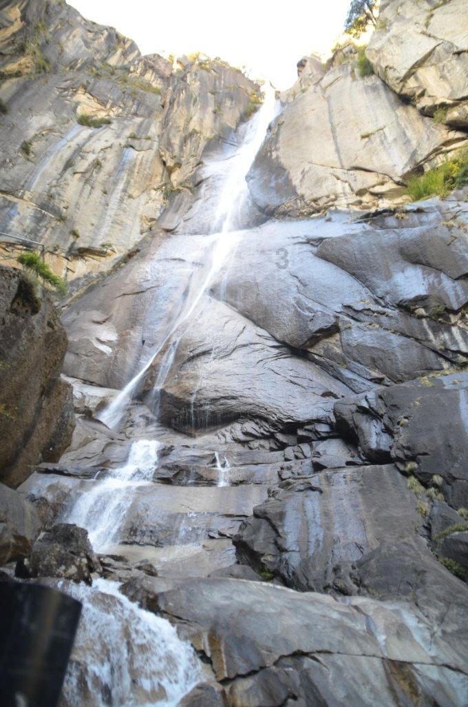 福建“小苗木”出海闯世界