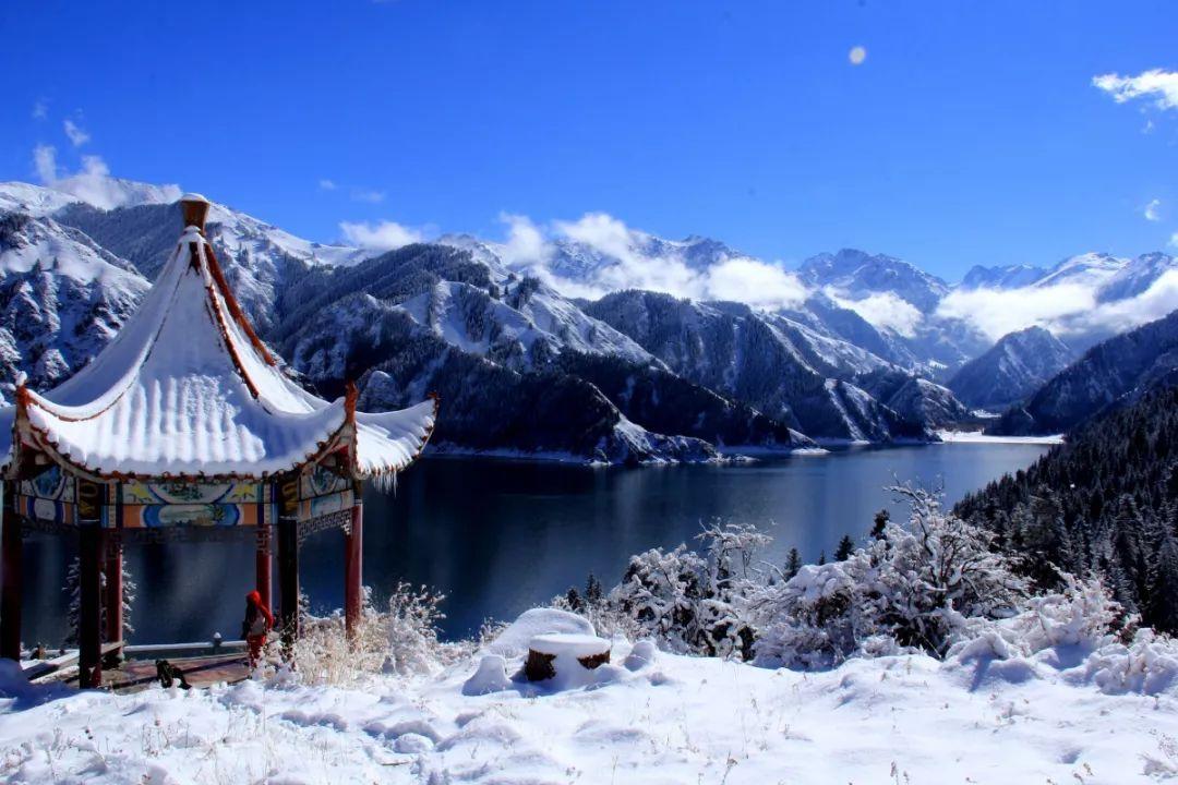 动物帮帮忙保卫家园